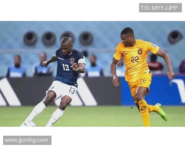 巴西与塞内加尔精彩对决回放全场比赛分析与精彩瞬间回顾