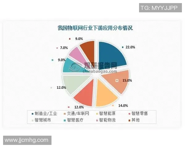 人和与国家安全场的辩证关系探讨与未来发展方向分析