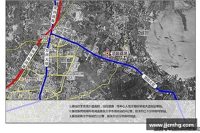 解读九游体育.九游体育官网入口